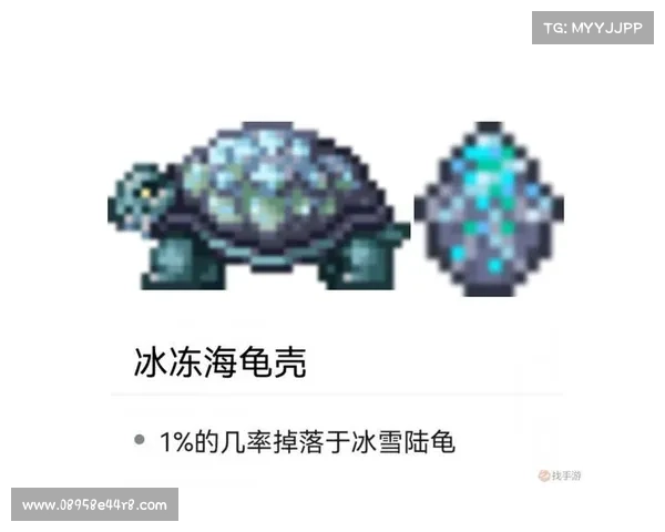 破解武魂玄冰加点平衡输出与防御的最佳策略与实战技巧 破解武魂玄冰加点平衡输出与防御的最佳策略与实战技巧