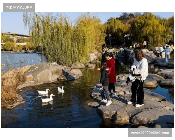冬日湖畔的温情与自然美景 冬日湖畔的温情与自然美景